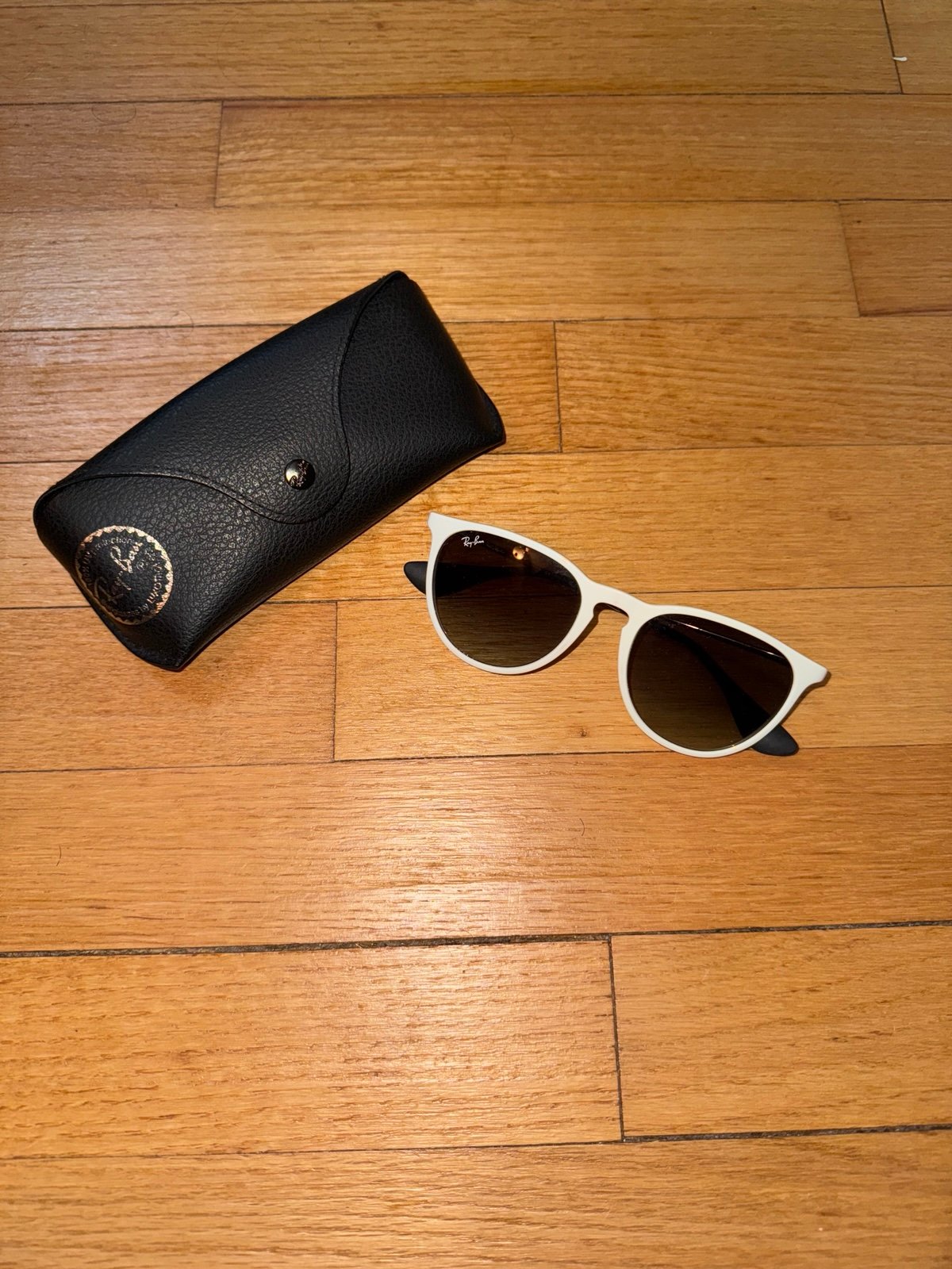 Ray Ban Erika Sunglasses with Case