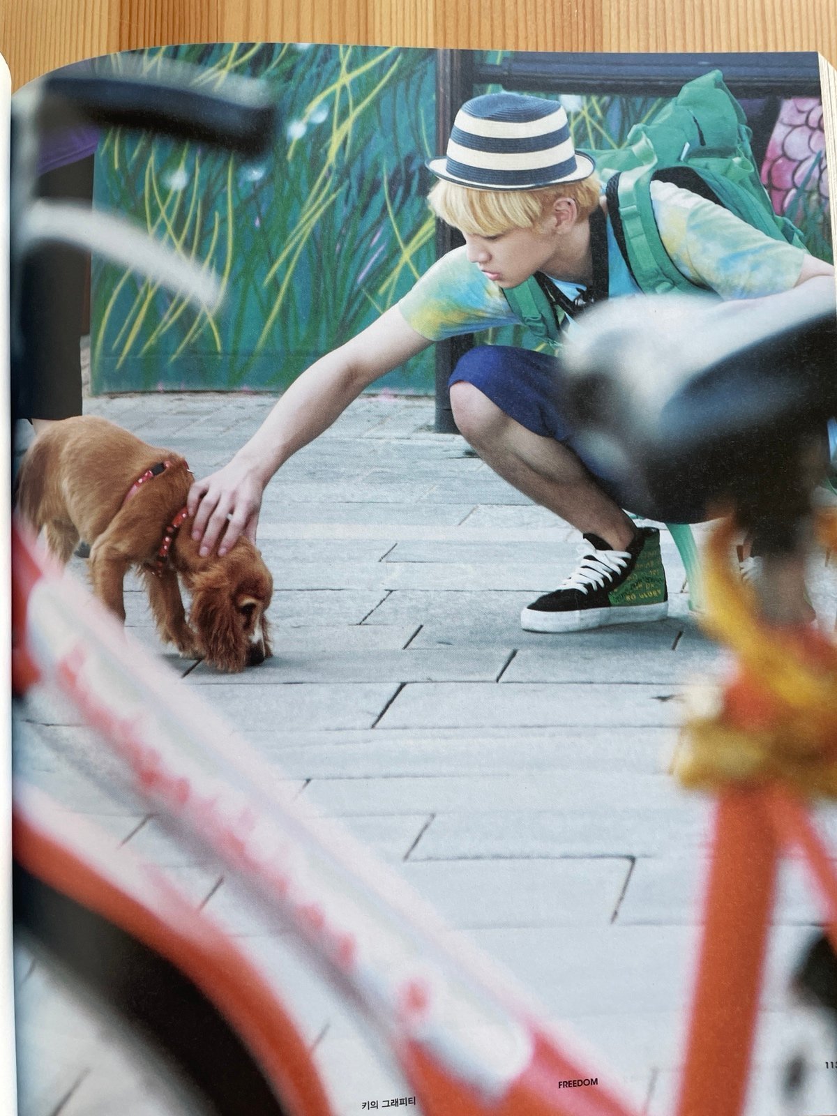 SHINee in Barcelona Photobook + postcard booklet