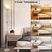 Floor Lamp-3 Color Temperature