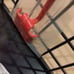 Rubbermaid Shed Accessories Large Wire Basket