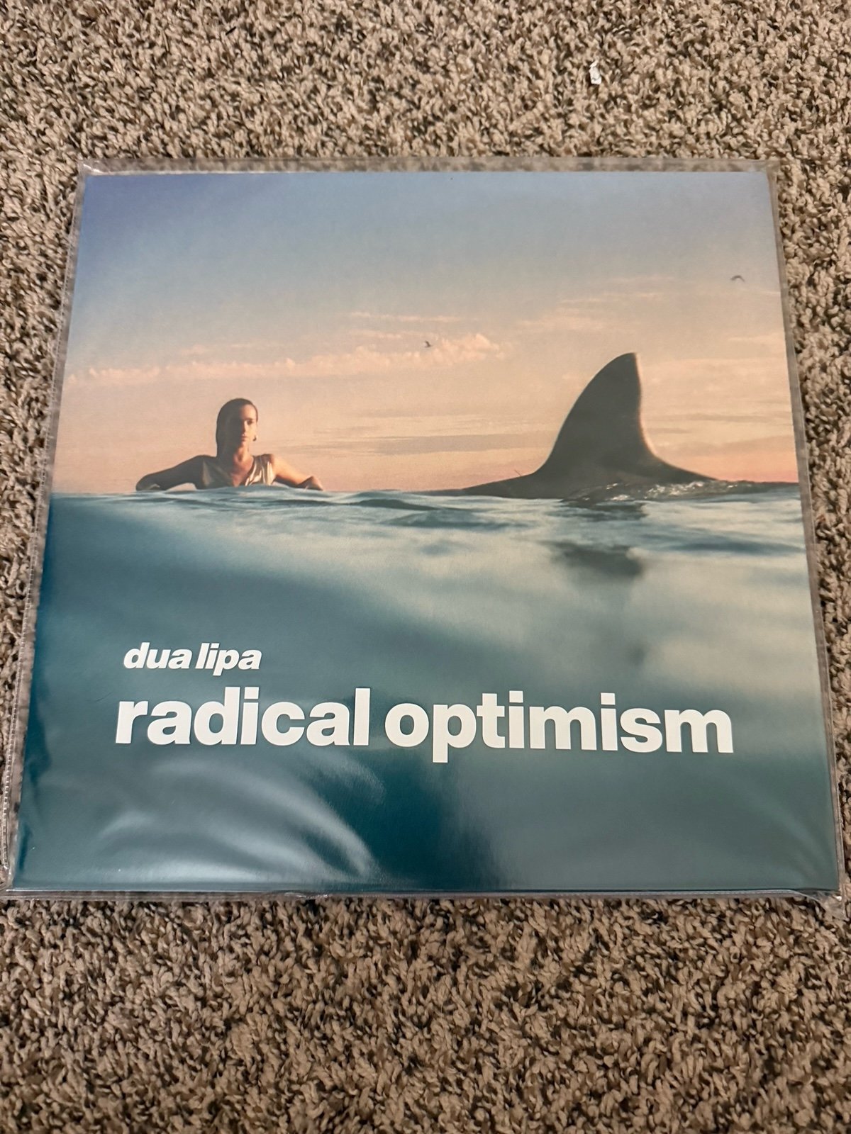 SIGNED Dua Lipa Radical Optimism Split Vinyl