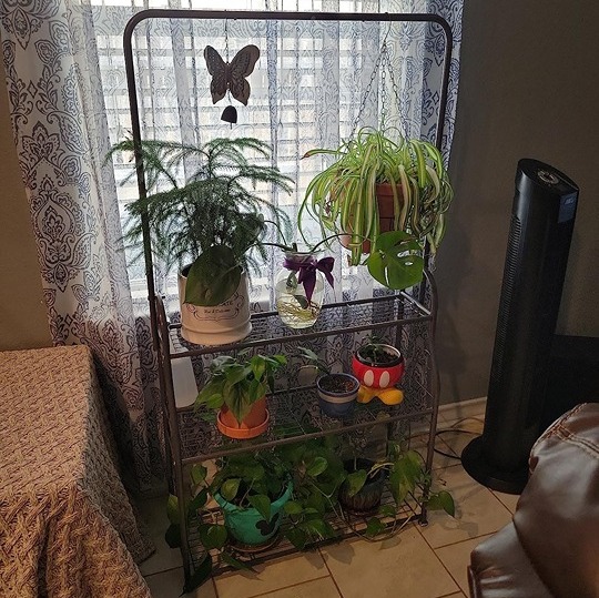 Plant Stand 3 Tier Indoor Outdoor Tall Corner Hanging Plant Shelf Metal Stand