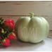 Rae Dunn Home Pumpkin in Mint Green