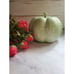 Rae Dunn Home Pumpkin in Mint Green