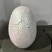 Vintage 1997 Jurassic Park Lost World Triceratops Hatchling with Breakaway Egg