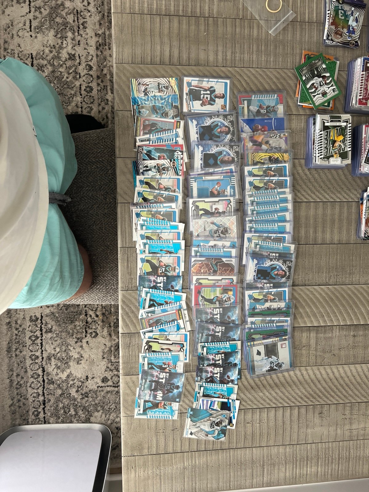 Panther card lot