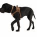 I urgently need to sell Carhartt dog training rope. S, M, OVER, brand new