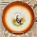 Antique Petrus Regout & Co Maastricht 9” Plate Game Bird Made in Holland (read)