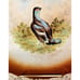 Antique Petrus Regout & Co Maastricht 9” Plate Game Bird Made in Holland (read)