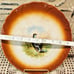 Antique Petrus Regout & Co Maastricht 9” Plate Game Bird Made in Holland (read)