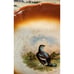 Antique Petrus Regout & Co Maastricht 9” Plate Game Bird Made in Holland (read)