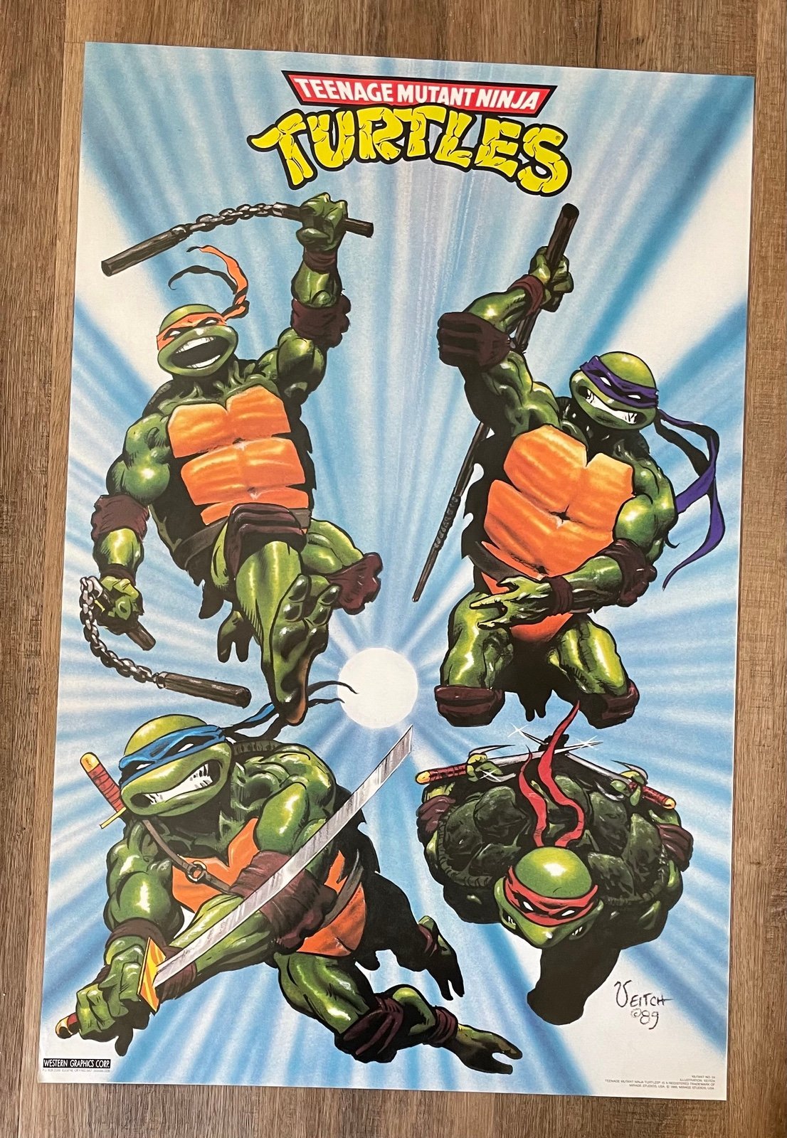 Vintage TMNT Flying Group Shot 1989 NEW Poster 32 x 21