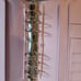 Aura Stelle personal wide lot