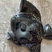 1950’s Tropic Treasures by Ceramicraft Tropical Fish Wall Pocket Planter MCM