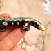 Amato hand painted southwestern lizard pin