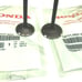 OEM 04-08 Honda Rancher 420 and Rancher 400 Intake Exhaust Valves Valve Set Kit