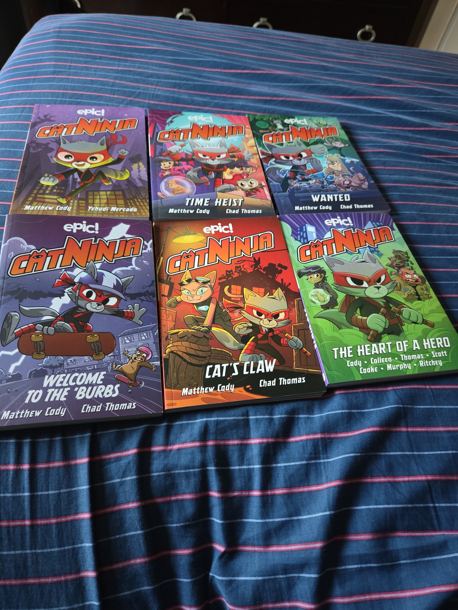 Cat Ninja Books 1-6 bundle