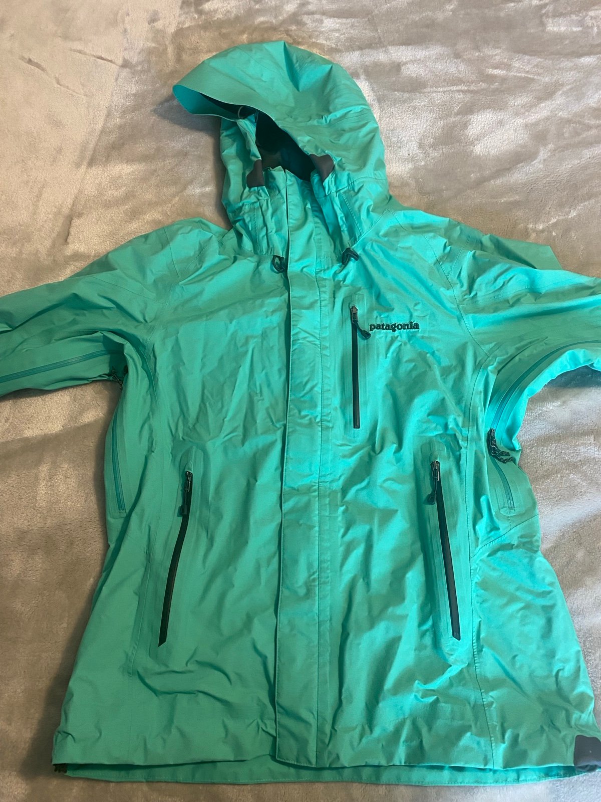 Patagonia Gore- Tex Shell