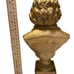 Gold Beethoven Bust Classical music composer ZOOM IN music mantle piece history