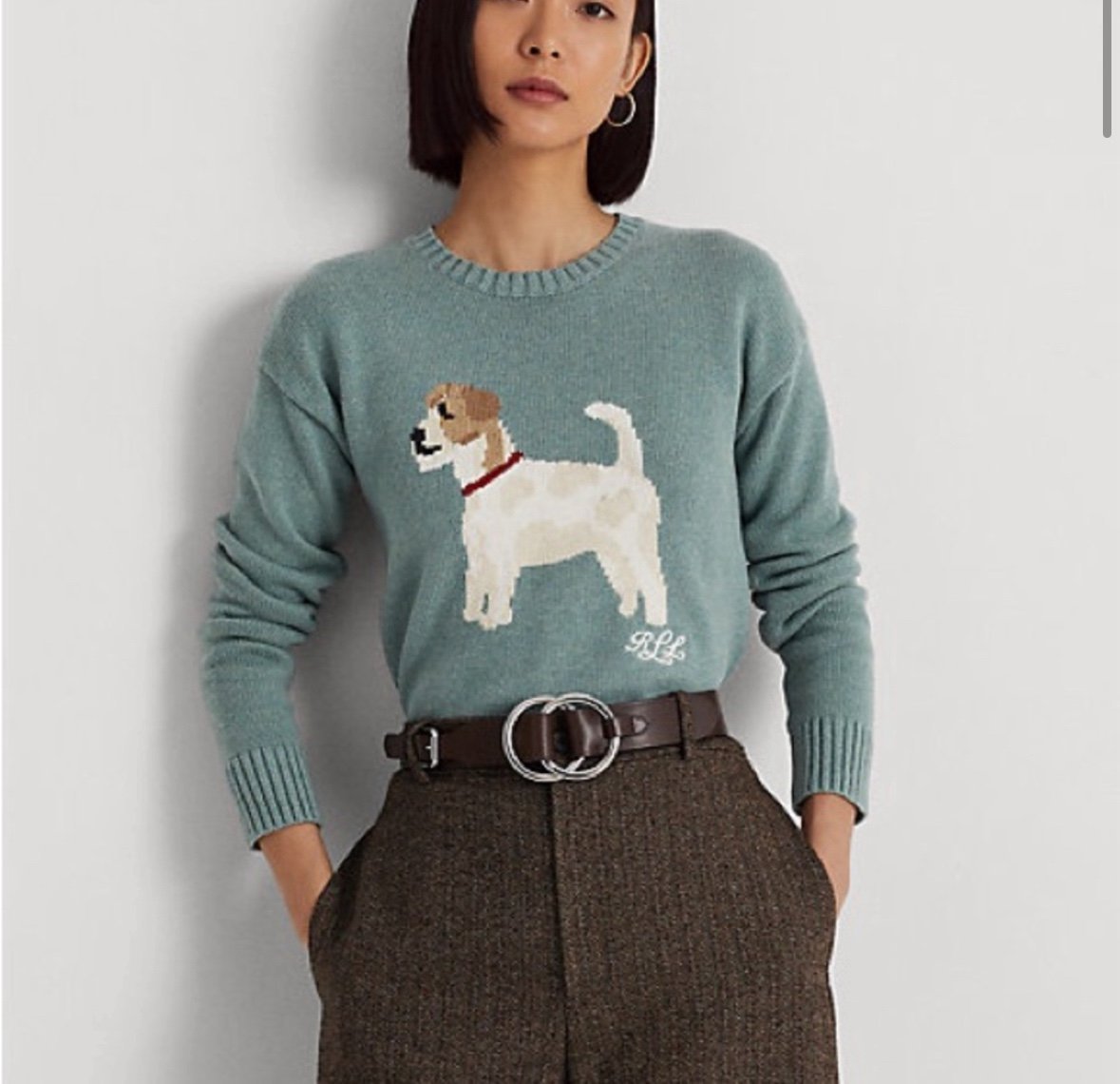 Ralph Lauren dog sweater small