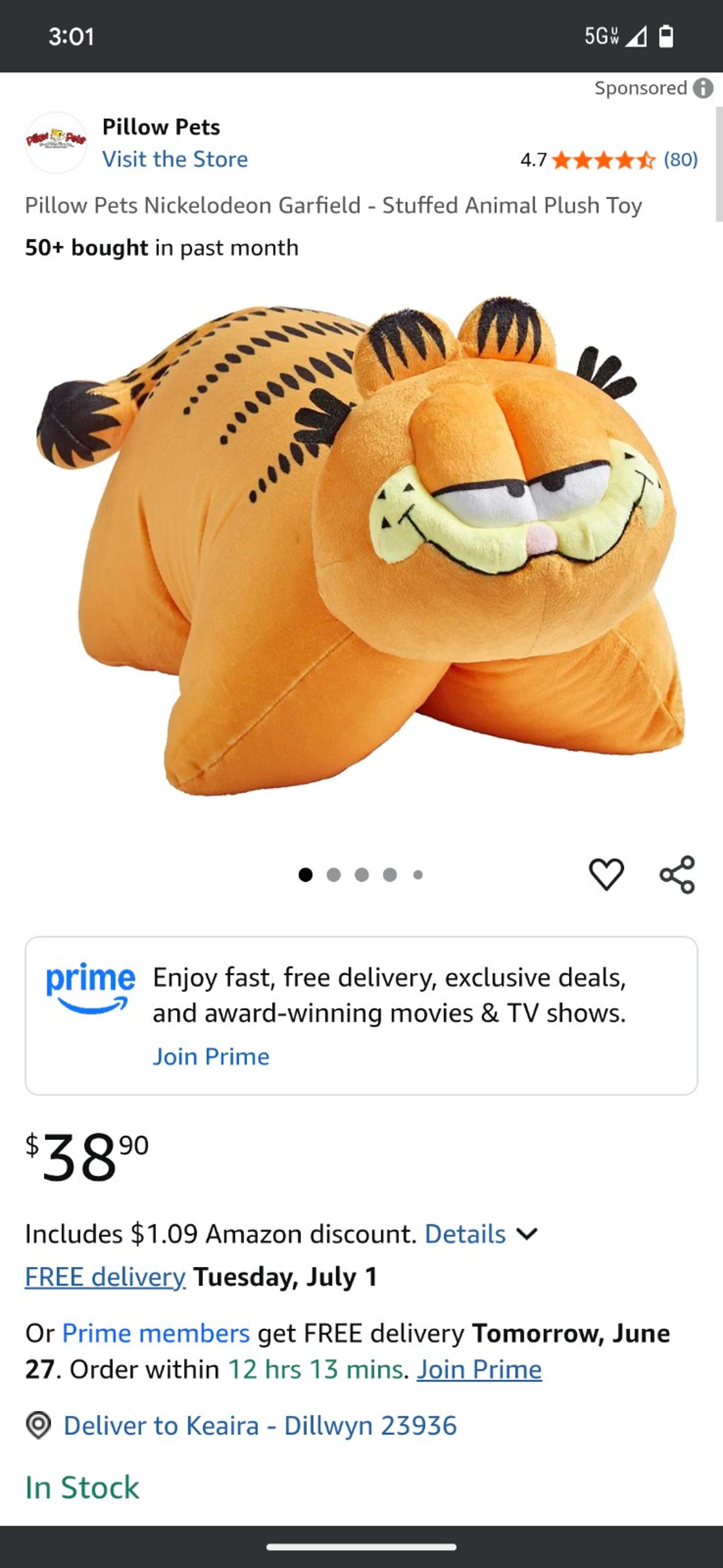 Garfield pillow pet