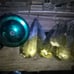 Fishing poles lures full tackle box.