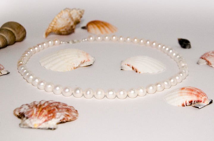 Short pearl necklace High quality pearls