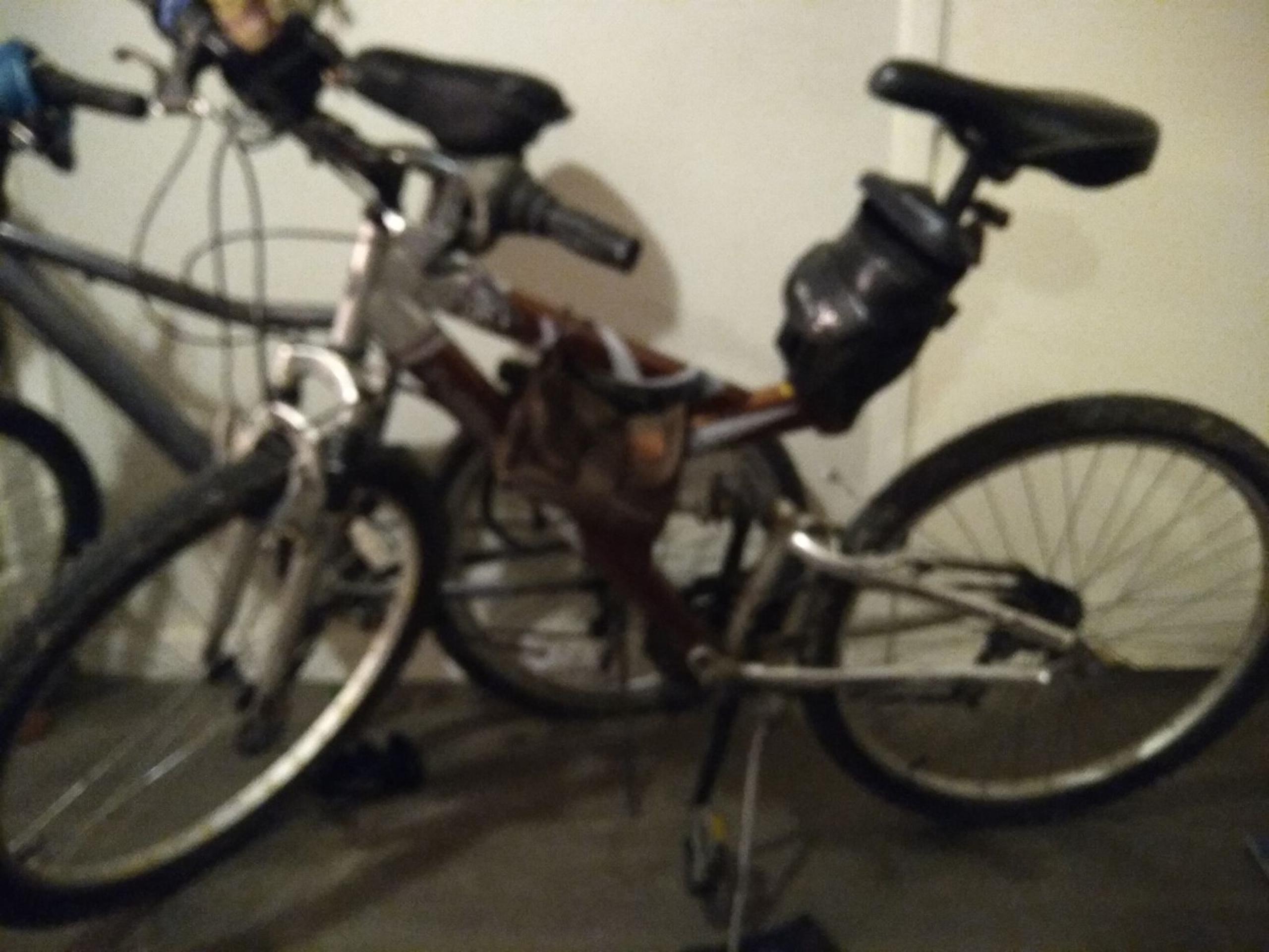 Next mountain bike