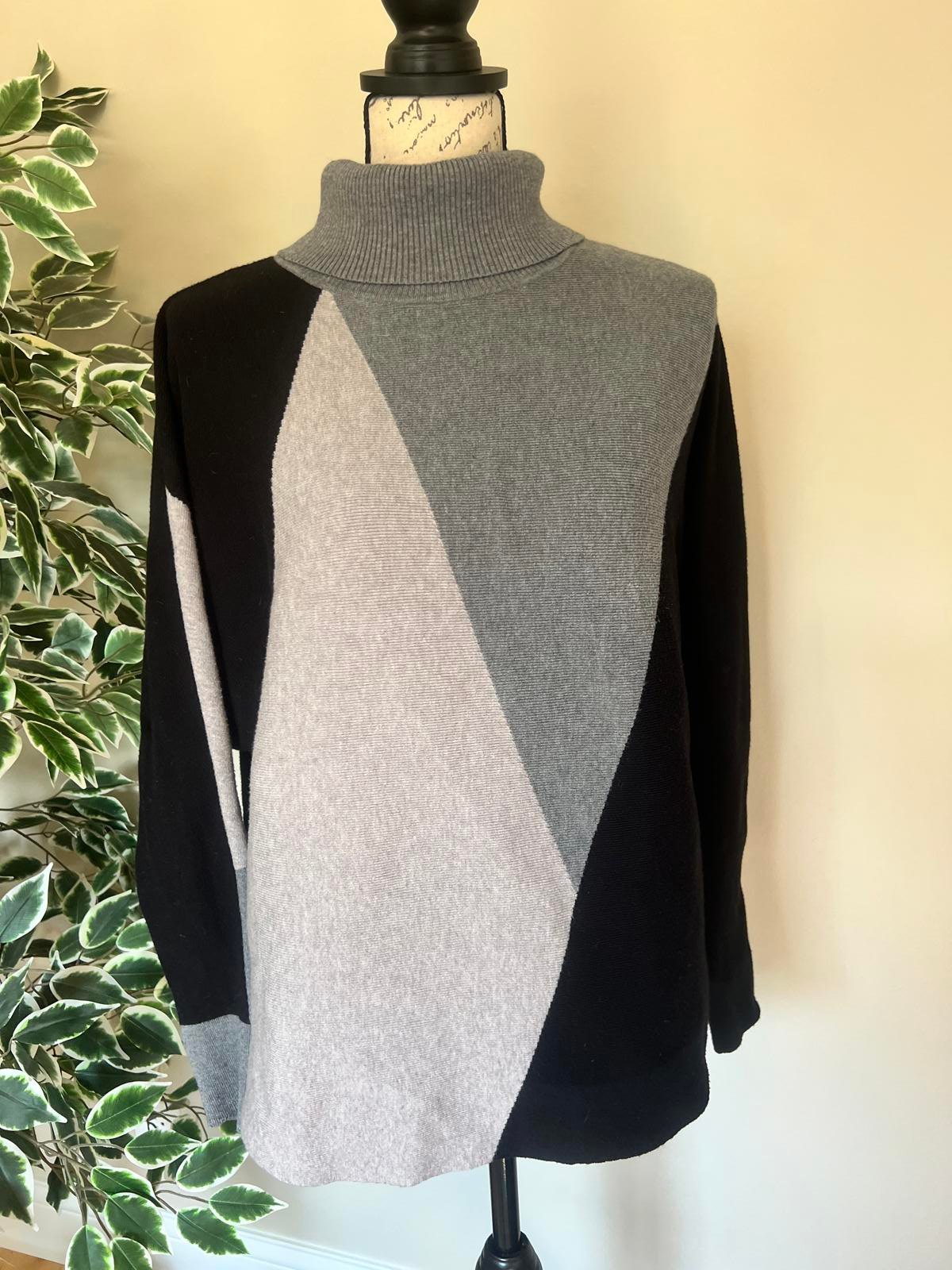 Aaeda Colorblock Turtleneck Sweater for Women