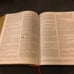 BSB Berean Study Bible Black Genuine Cowhide Leather No Markings Like New