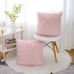 18x18 Inch Set of 2 Easter Decorations Pink Fluffy Pillow Covers