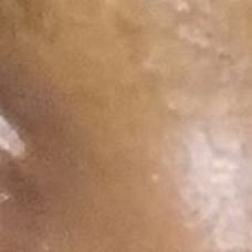 eye lashes