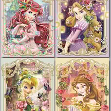 4 kit princess set