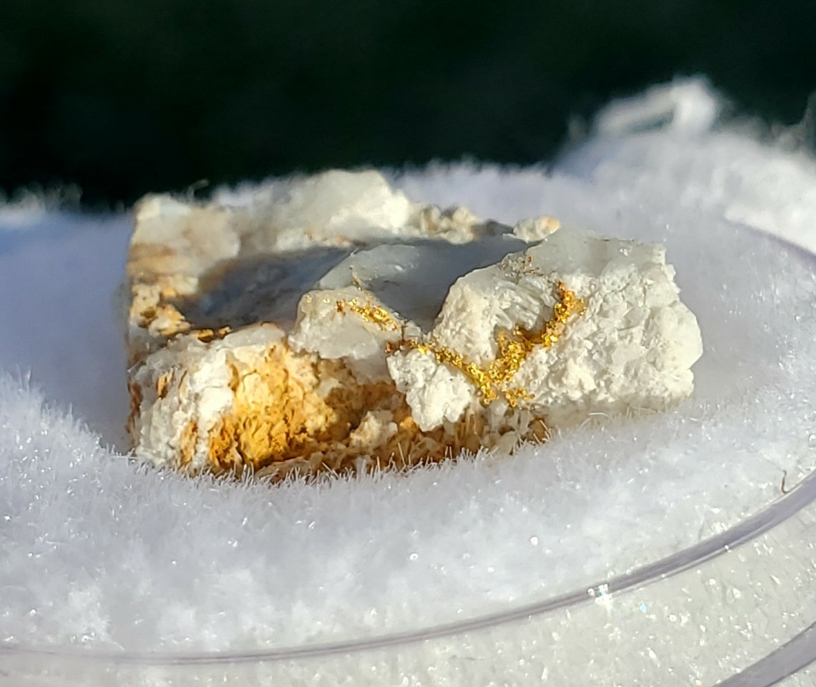 Native Crystallized Gold on Quartz, Eagles Nest, CA