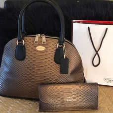 Metallic Bronze COACH handbag and wallet