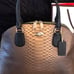 Metallic Bronze COACH handbag and wallet