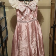 Secret honey Cinderella's mother's dress