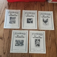The Feathered Warrior