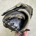 DeMarini Diablo A0725 DB14 Softball Baseball Glove 14 RHT Leather