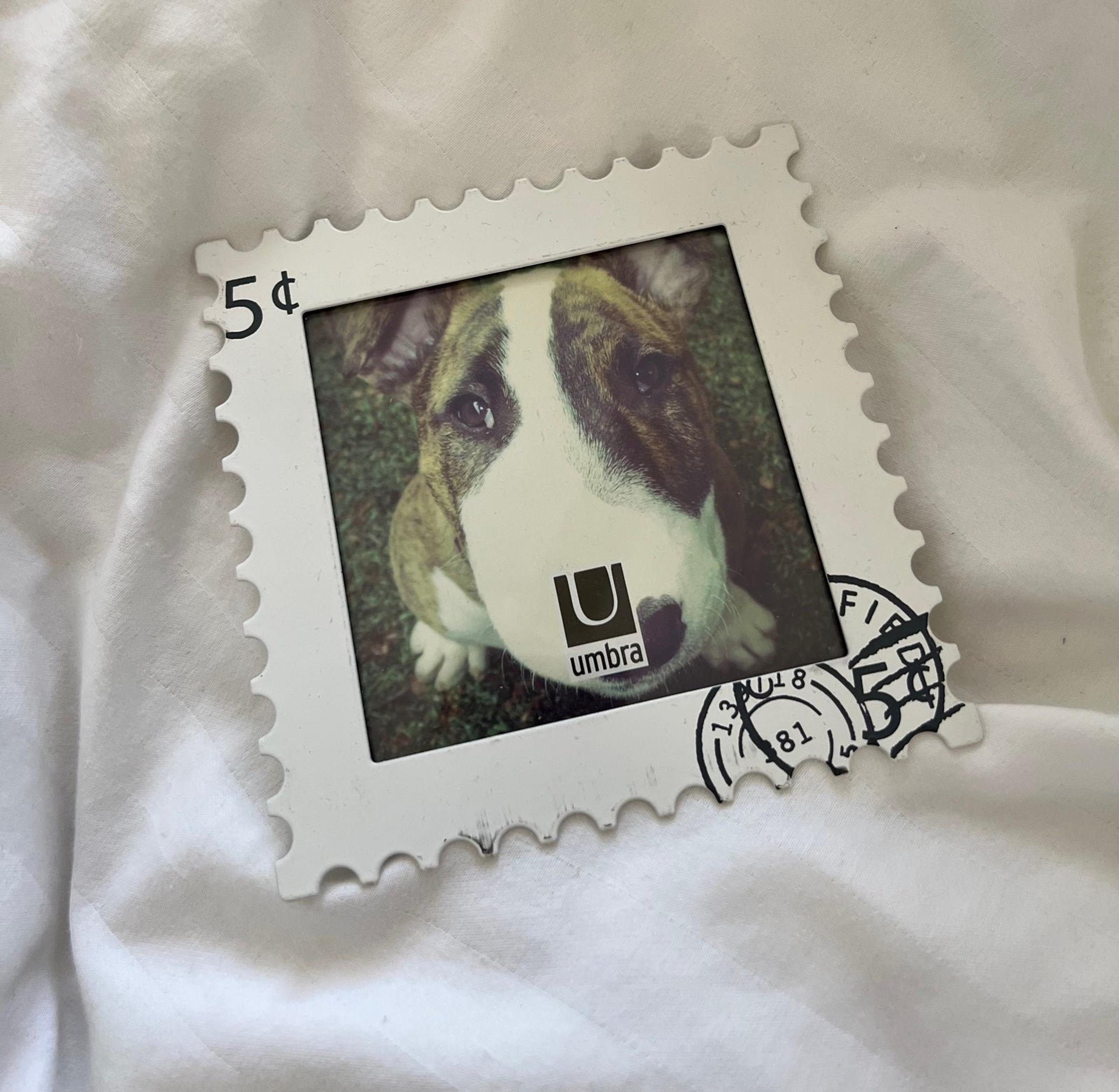 Umbra Postage Picture Frame