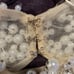 Vienna ivory Homecoming dress size 0
