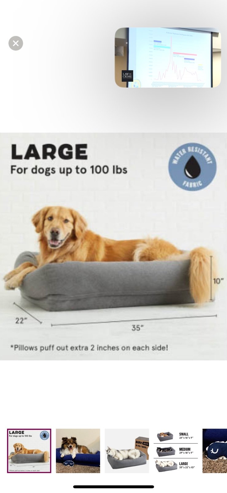 Dog Bed: Large Orthopedic Pet Bed & Toy, Light Gray