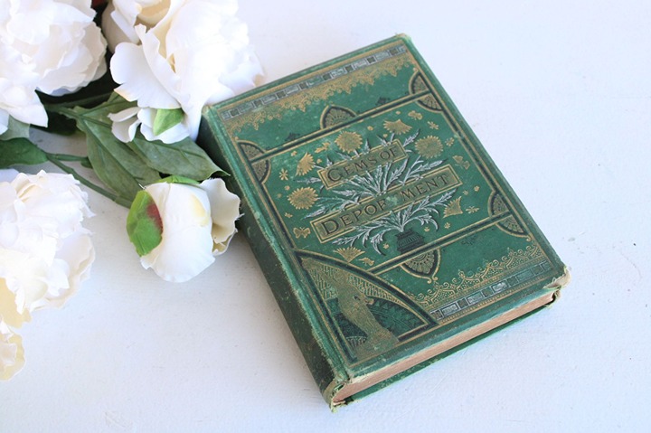 Vintage Antique 1880s Book, Gems of Deportment by Mrs. M. L. Rayne, Victorian