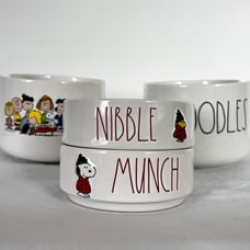 Free Shipping Rae Dunn x Peanuts Noodles Bowls and Pet bowls Lot of 4