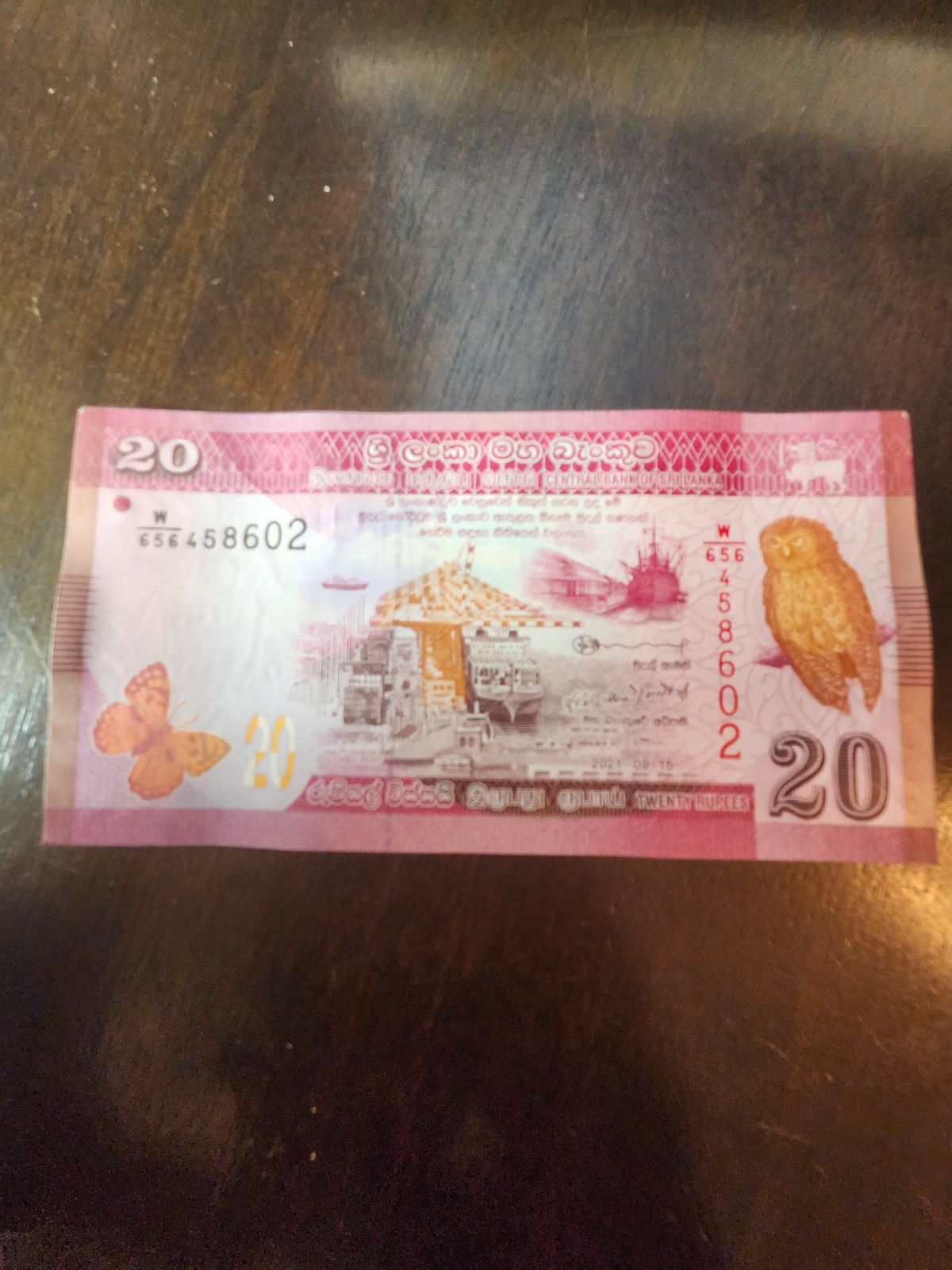 Bundle of 100 Sri Lankan bills FREE SHIPPING!
