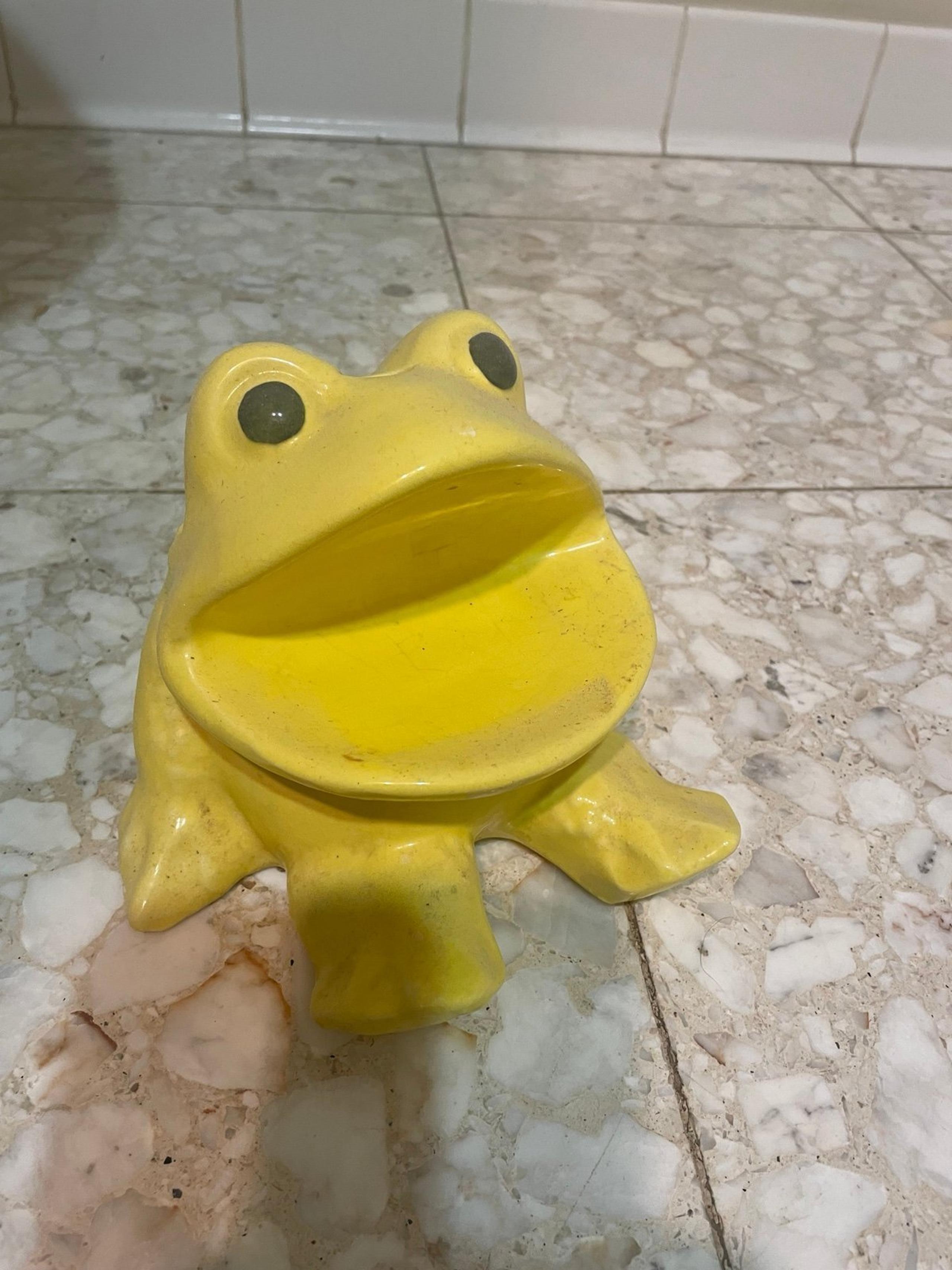 Vintage Frog Soap Holder