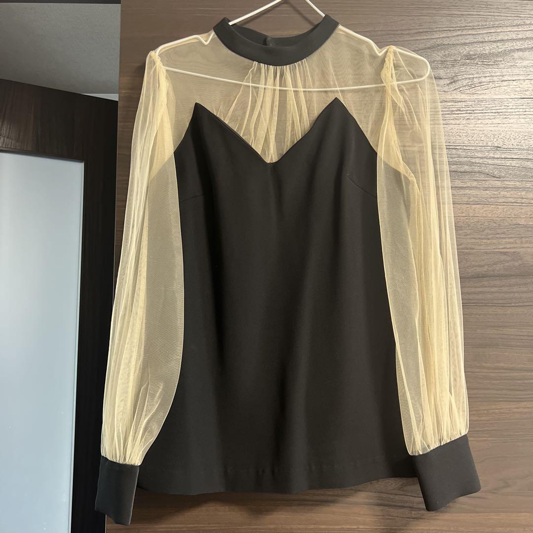 Ameri Vintage Undressed Sheer Set-Up Dress