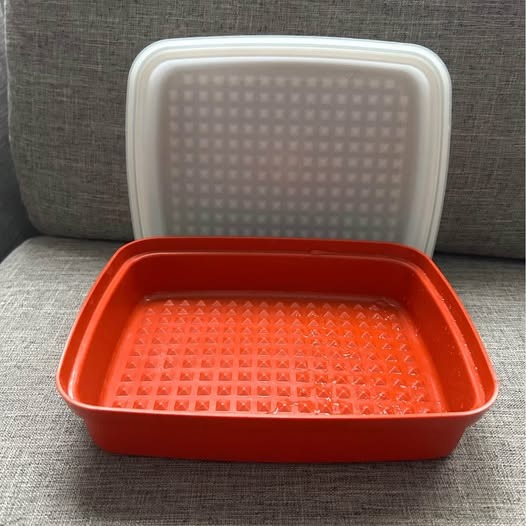 Vintage Tupperware Container, Paprika Color