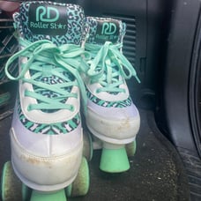 Roller Derby roller star teal cheetah skates