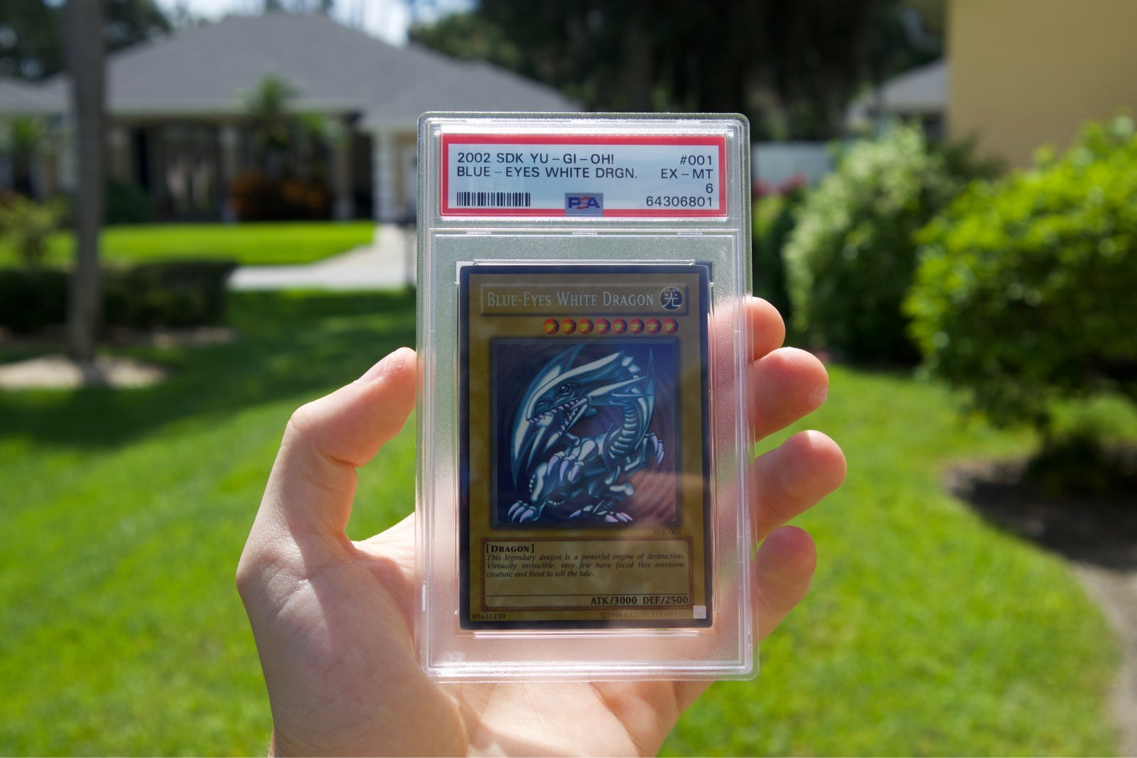 Blue Eyes White Dragon sdk-001